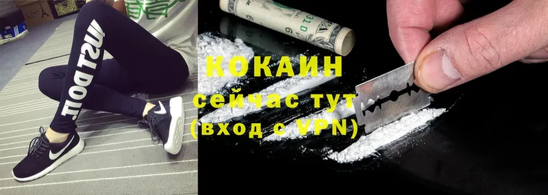 мега как зайти  Елец  Cocaine FishScale  где можно купить наркотик 