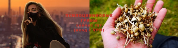 герыч Зеленокумск