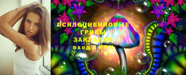 дурь Зерноград
