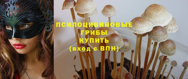 герыч Зеленокумск