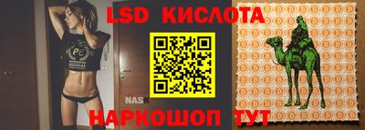MDMA Гатчина