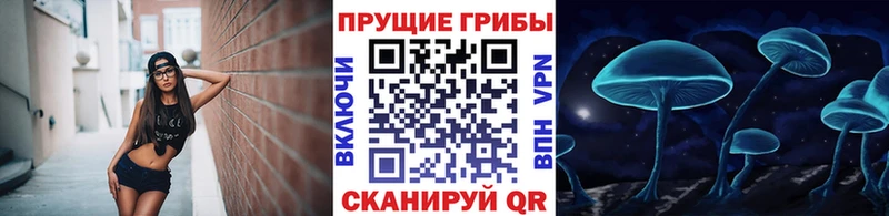 Галлюциногенные грибы GOLDEN TEACHER Елец