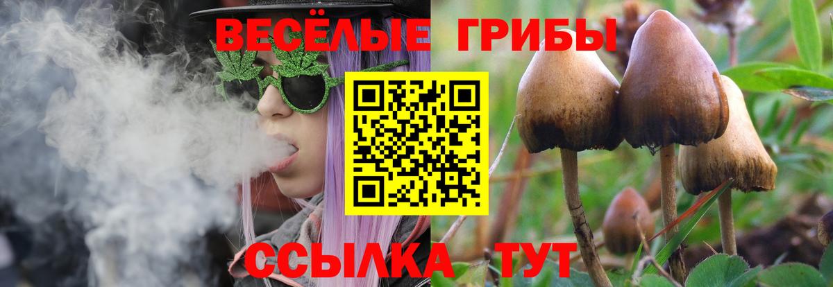 Елец  Галлюциногенные грибы мицелий  где купить наркоту  Вход с VPN 